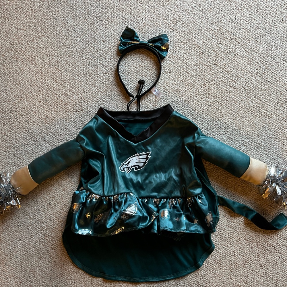 Philadelphia Eagles Cheer Dog Costume -XL